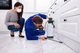 Best Pest Exclusion Services  in Tomball, TX